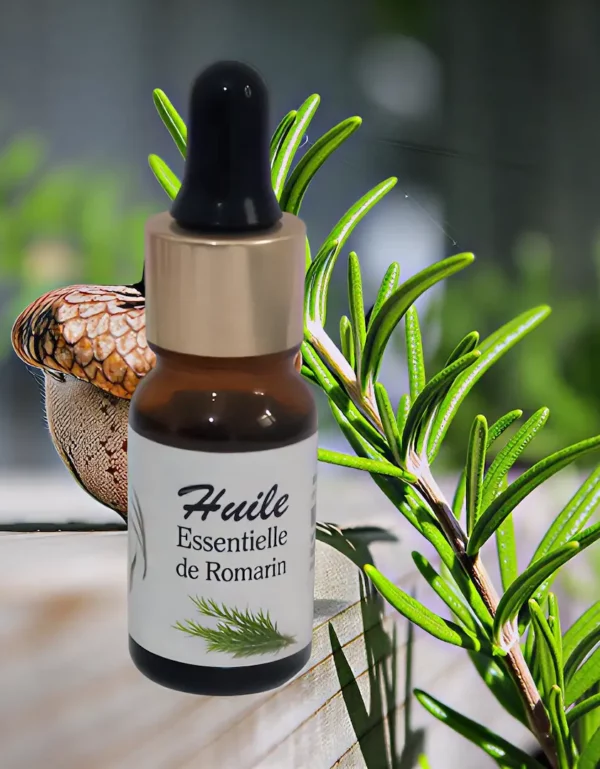 Huile essentielle de romain cinéole